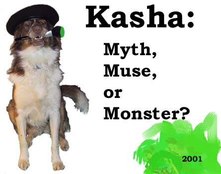 Kasha: myth, muse or monster?